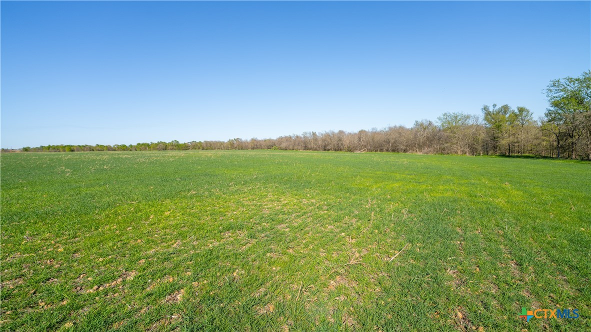 00001c County Road 110 Property Photo 8