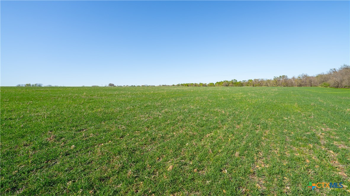 00001c County Road 110 Property Photo 15