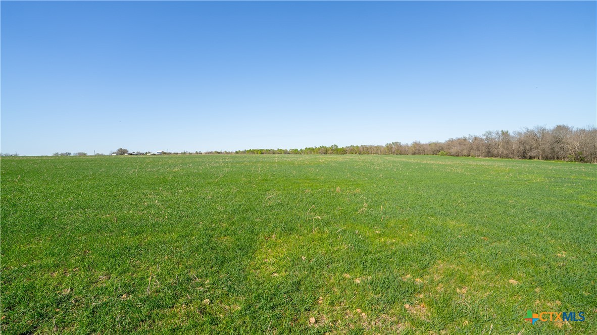 00001c County Road 110 Property Photo 21