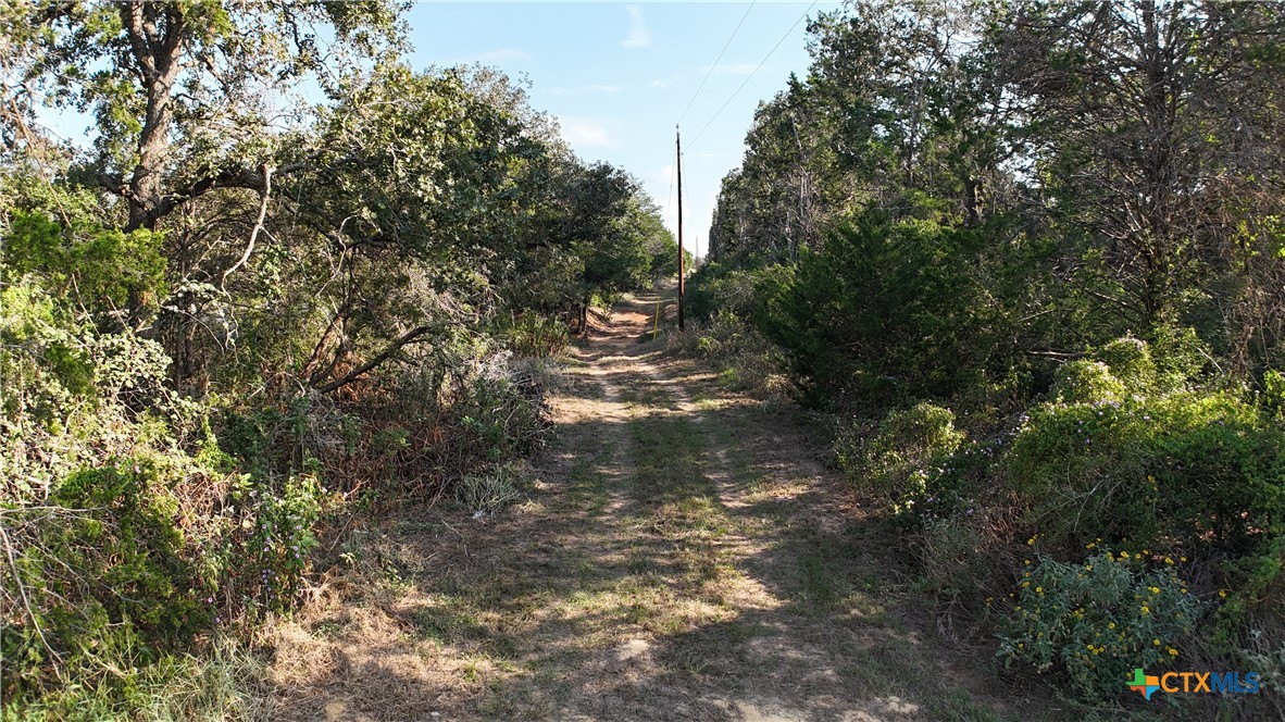 000 Charles Burnes Lane Property Photo 9