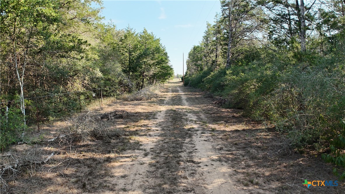 000 Charles Burnes Lane Property Photo 10