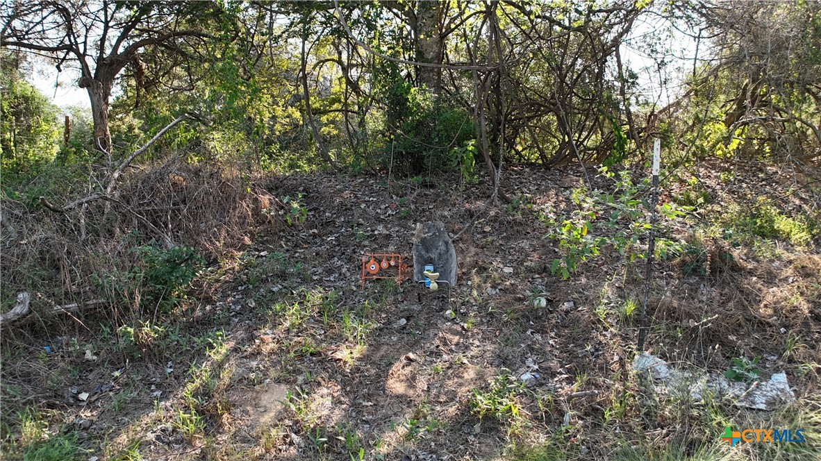 000 Charles Burnes Lane Property Photo 14