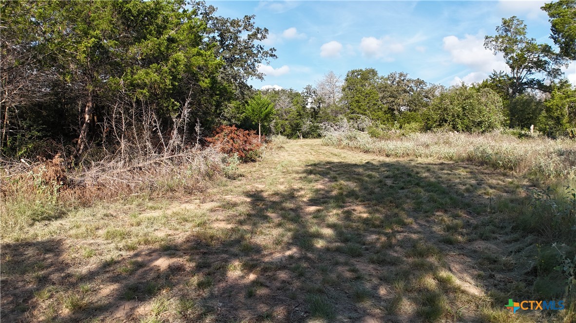 000 Charles Burnes Lane Property Photo 15