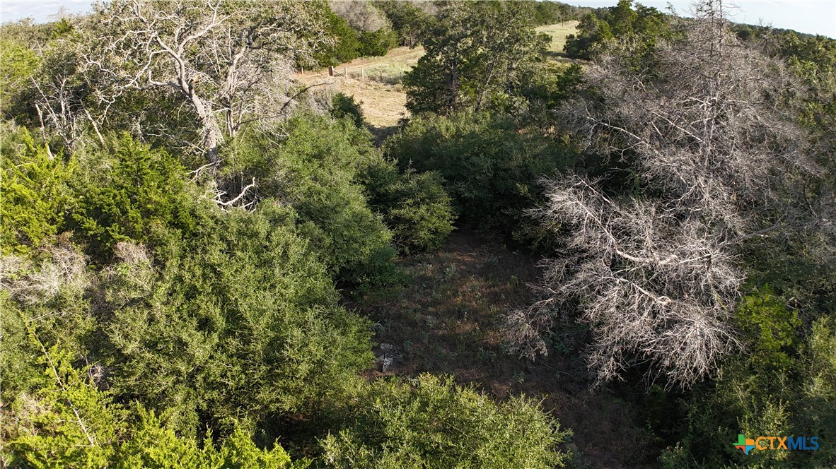 000 Charles Burnes Lane Property Photo 17
