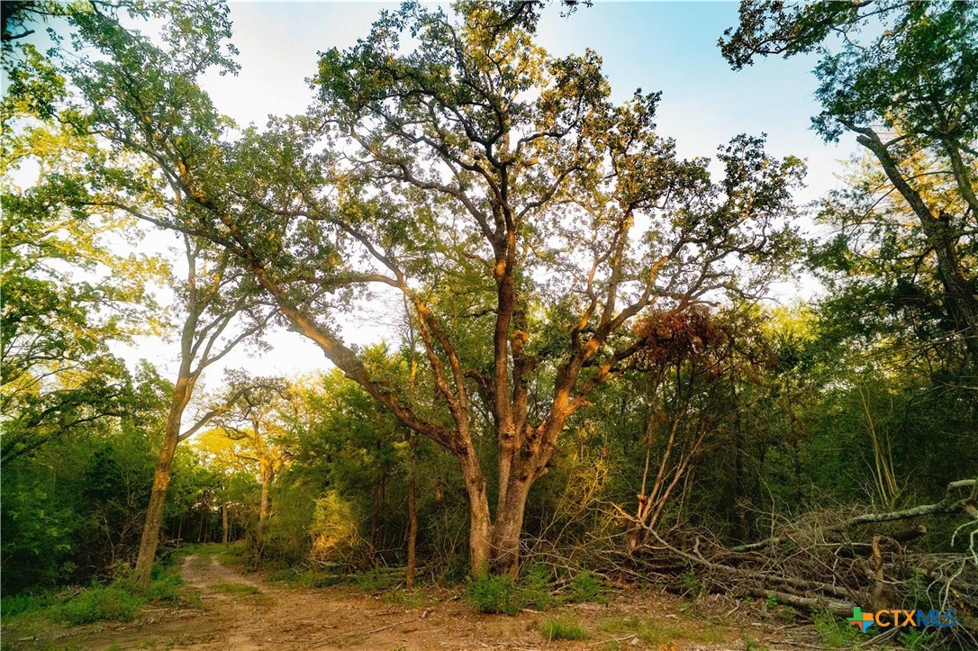12424 Red Hill Road Property Photo 3
