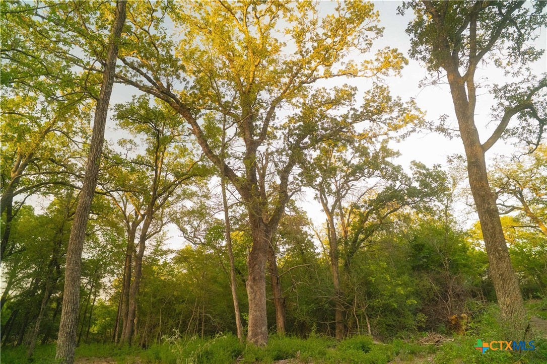 12424 Red Hill Road Property Photo 4