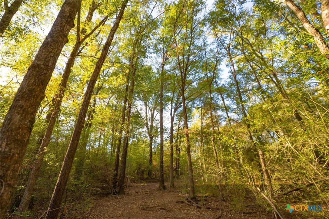 12424 Red Hill Road Property Photo 6