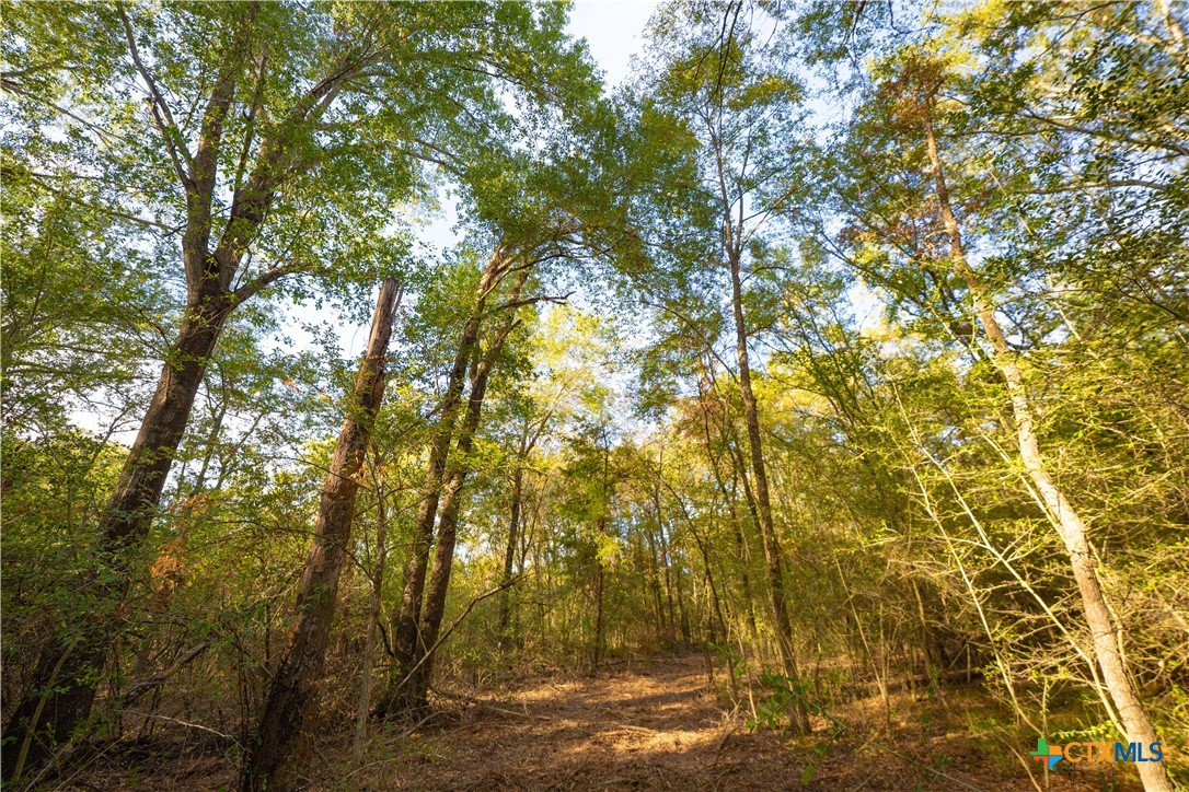12424 Red Hill Road Property Photo 8