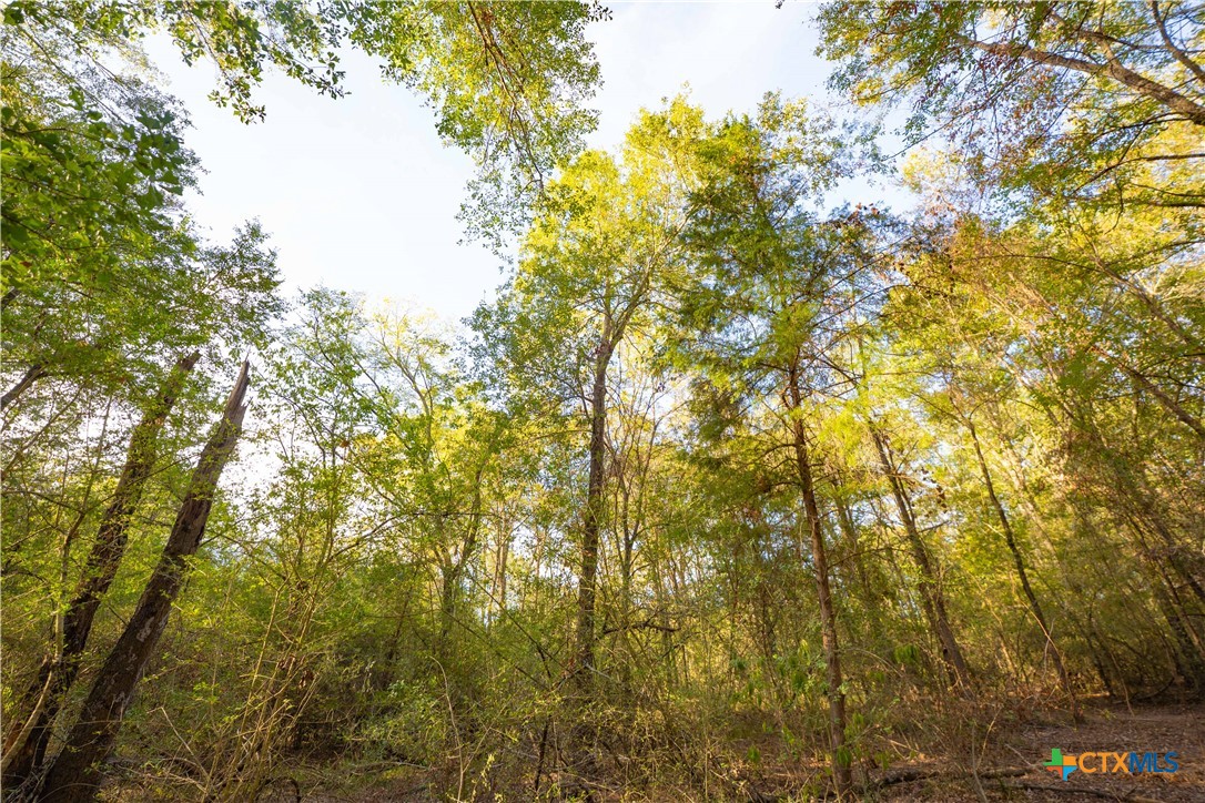 12424 Red Hill Road Property Photo 9