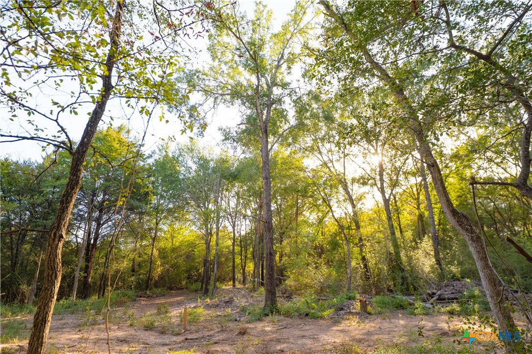 12424 Red Hill Road Property Photo 10