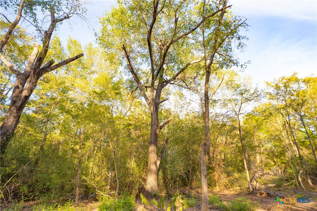 12424 Red Hill Road Property Photo 11