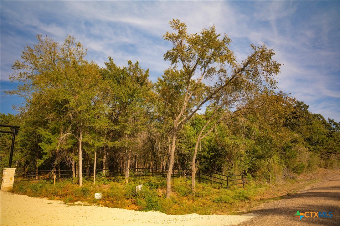 12424 Red Hill Road Property Photo 17