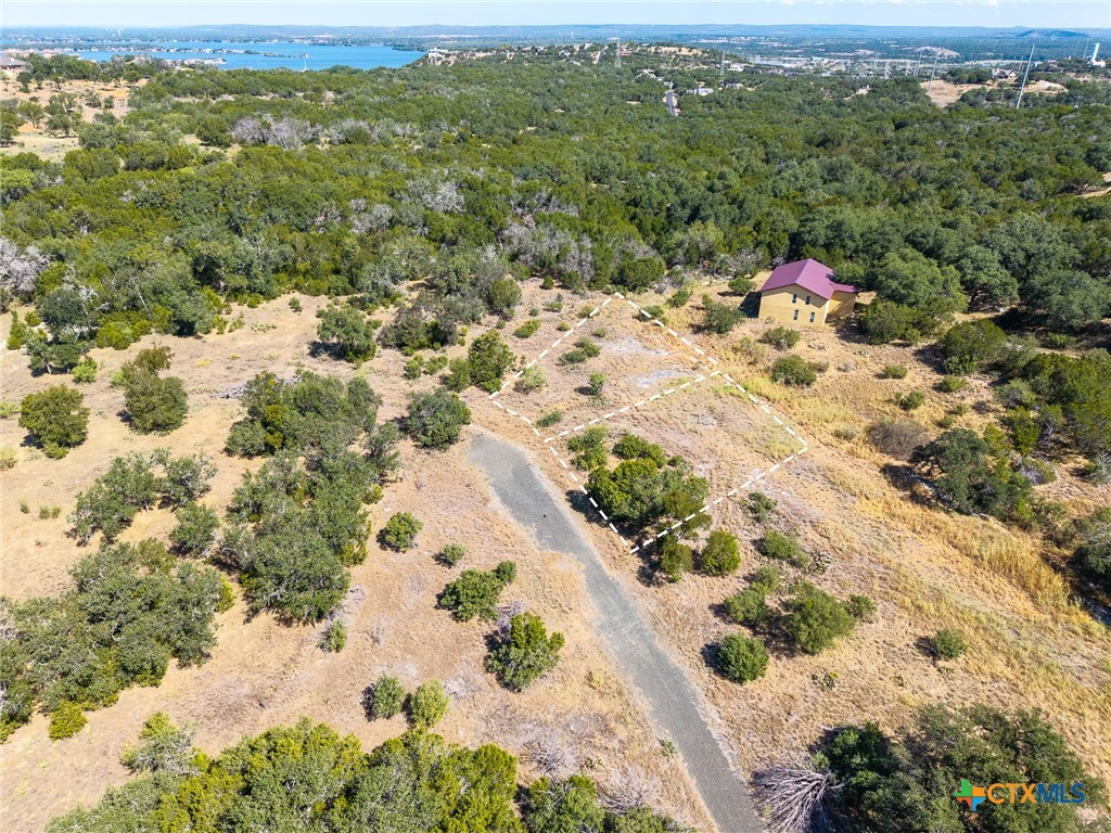 0 Miss Kitty Property Photo 8