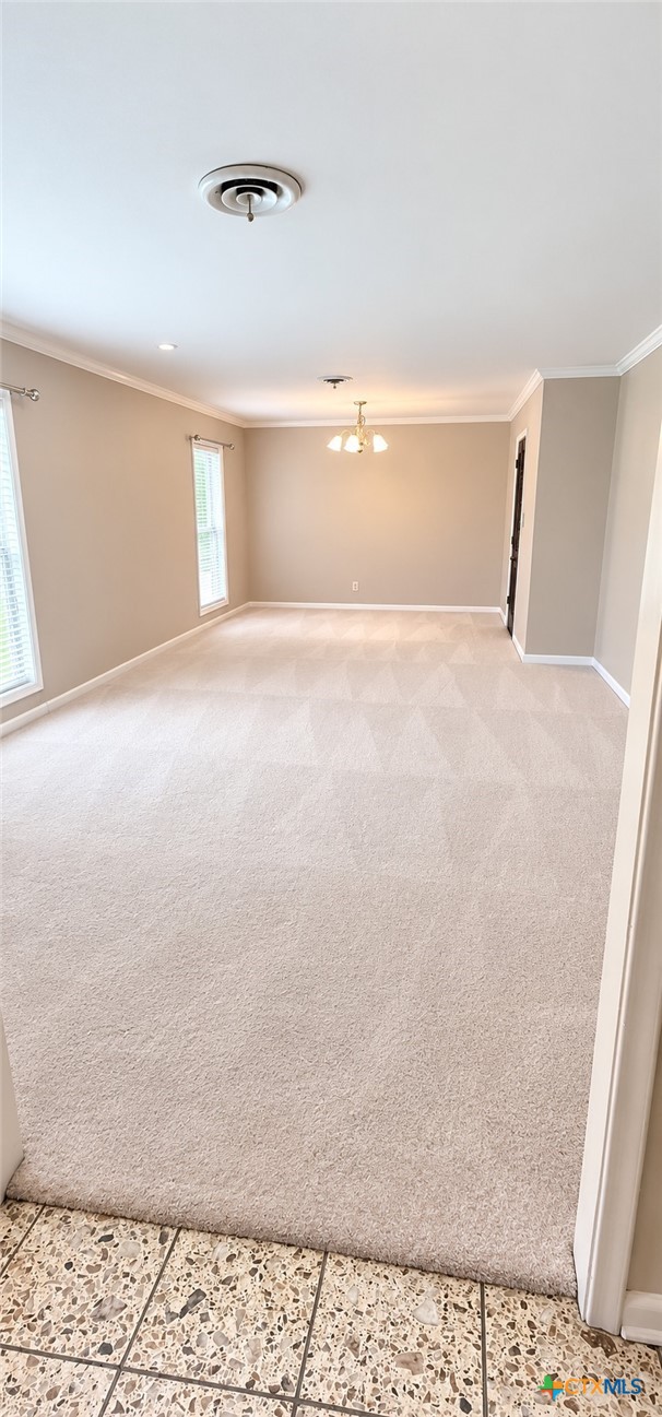 303 Milton Street Property Photo 10