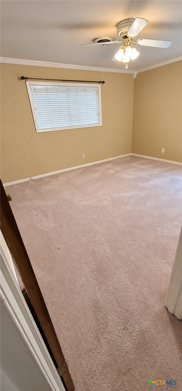 303 Milton Street Property Photo 27