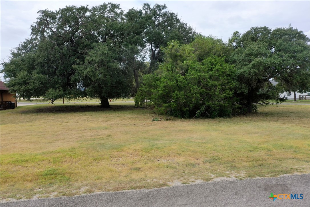 000 Tawny Oak Lot 24 Property Photo 4