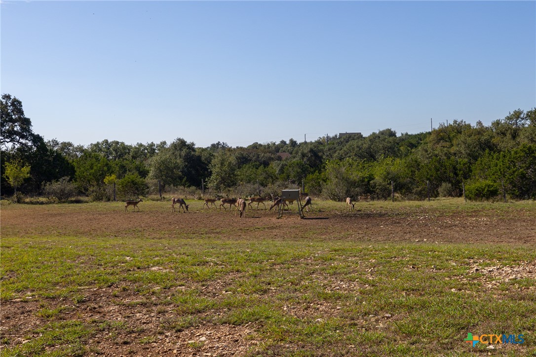 260 Mexican Hat Drive Property Photo 47