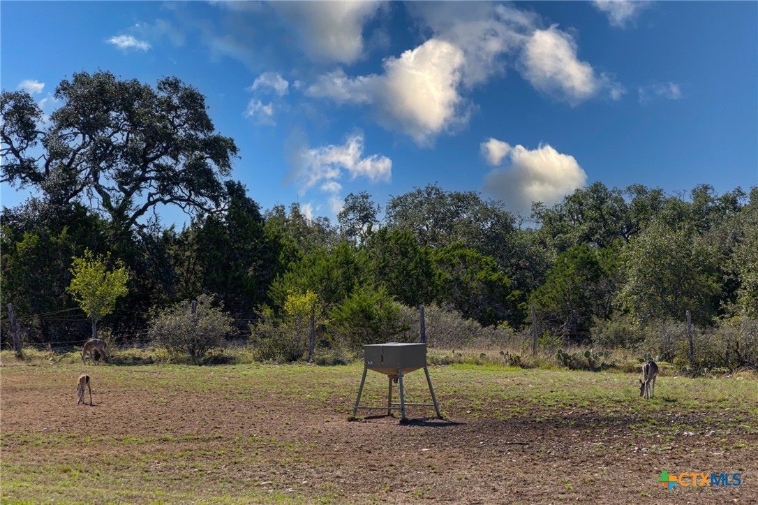 260 Mexican Hat Drive Property Photo 48
