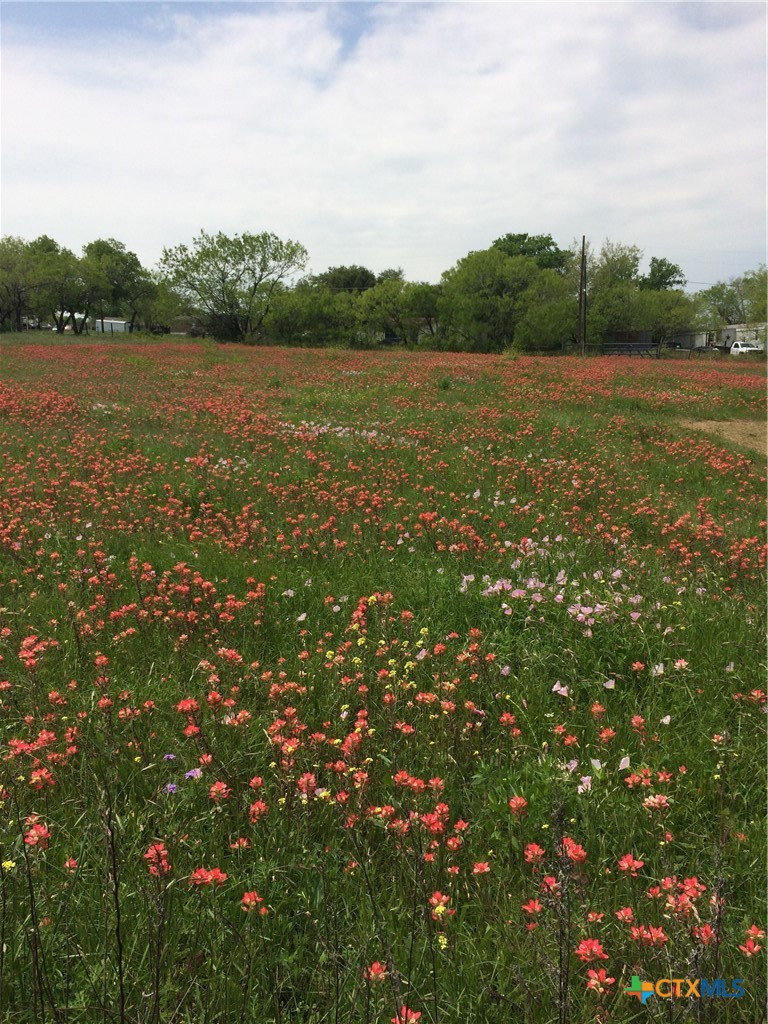 Tbd- (lot 244) Sunrise Property Photo 11
