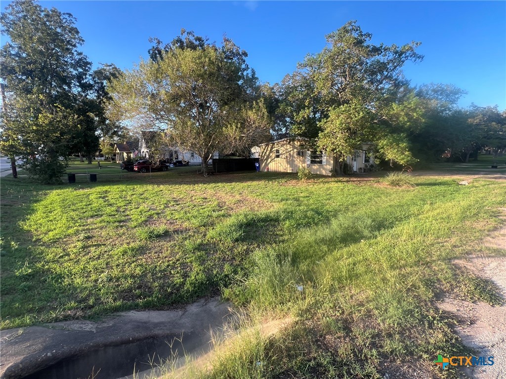 101 Walter Street Property Photo 3