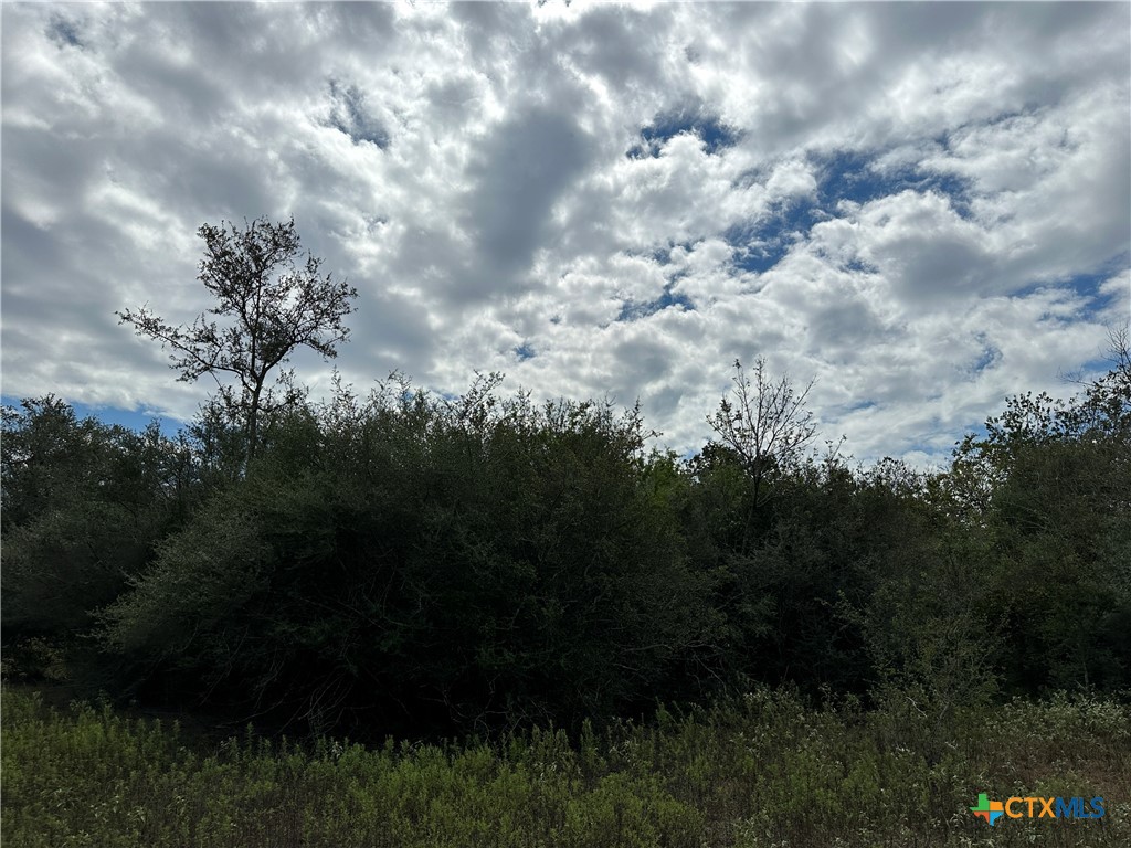 Tract 4 Regan Property Photo 6