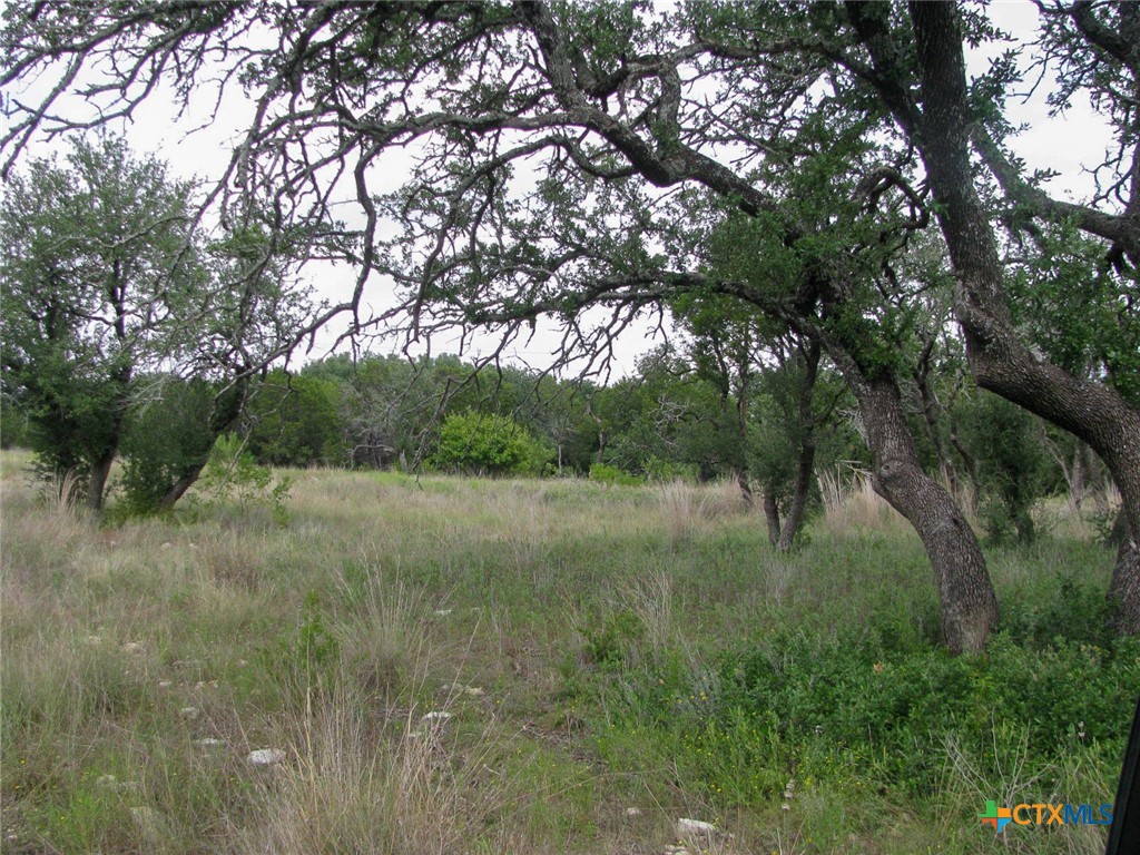 Lot 106 Ph 6 Pr 42101 Property Photo 2