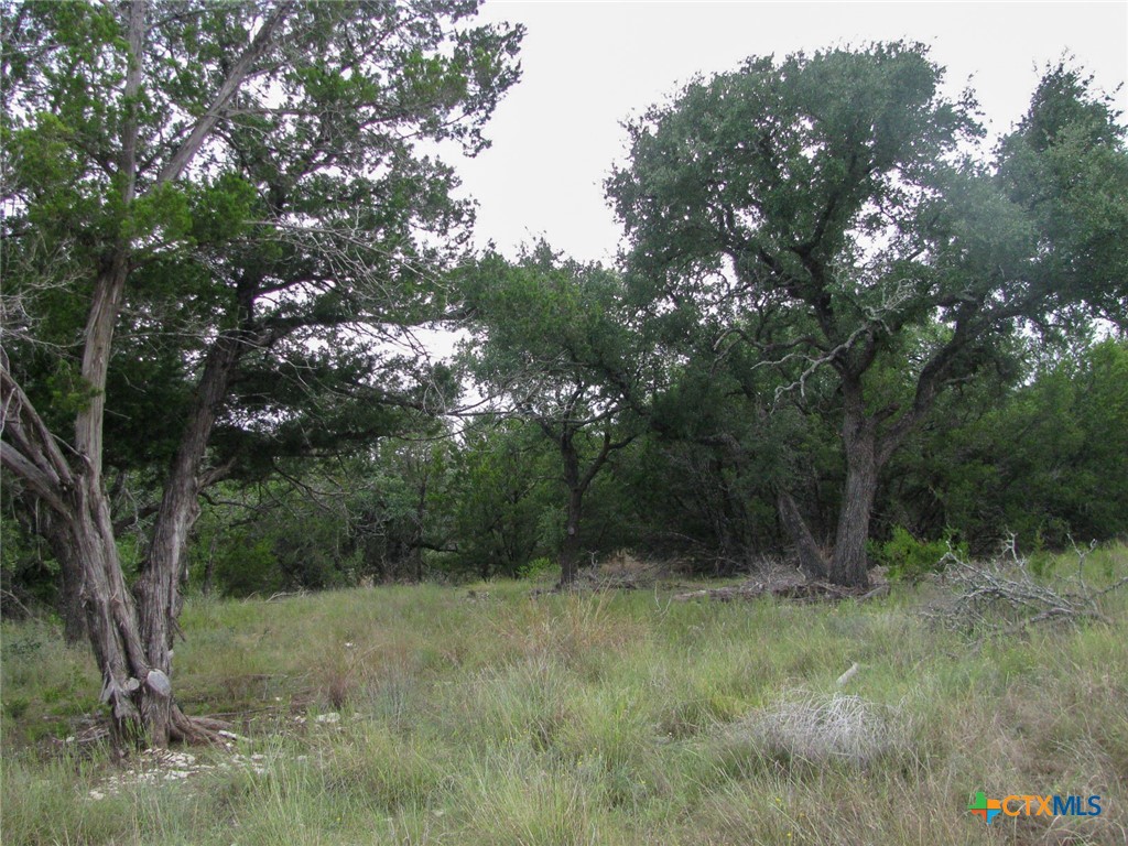 Lot 106 Ph 6 Pr 42101 Property Photo 3