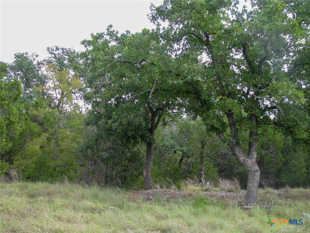 Lot 106 Ph 6 Pr 42101 Property Photo 17