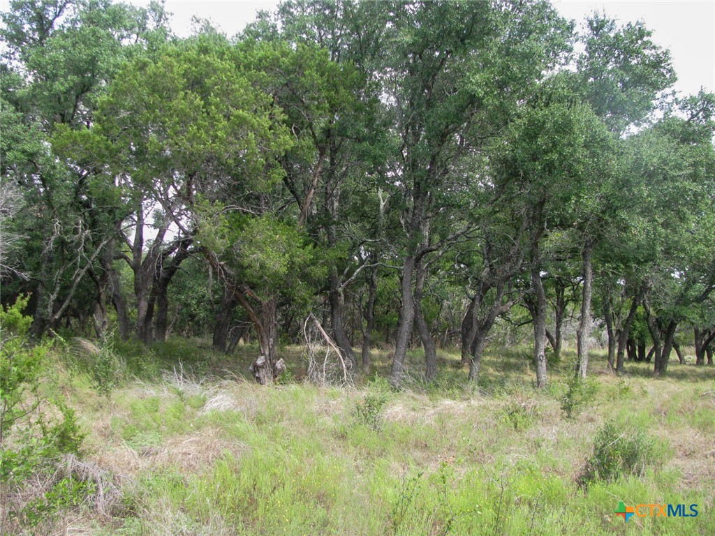 Lot 106 Ph 6 Pr 42101 Property Photo 22