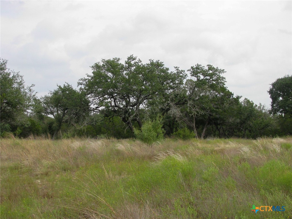 Lot 106 Ph 6 Pr 42101 Property Photo 28