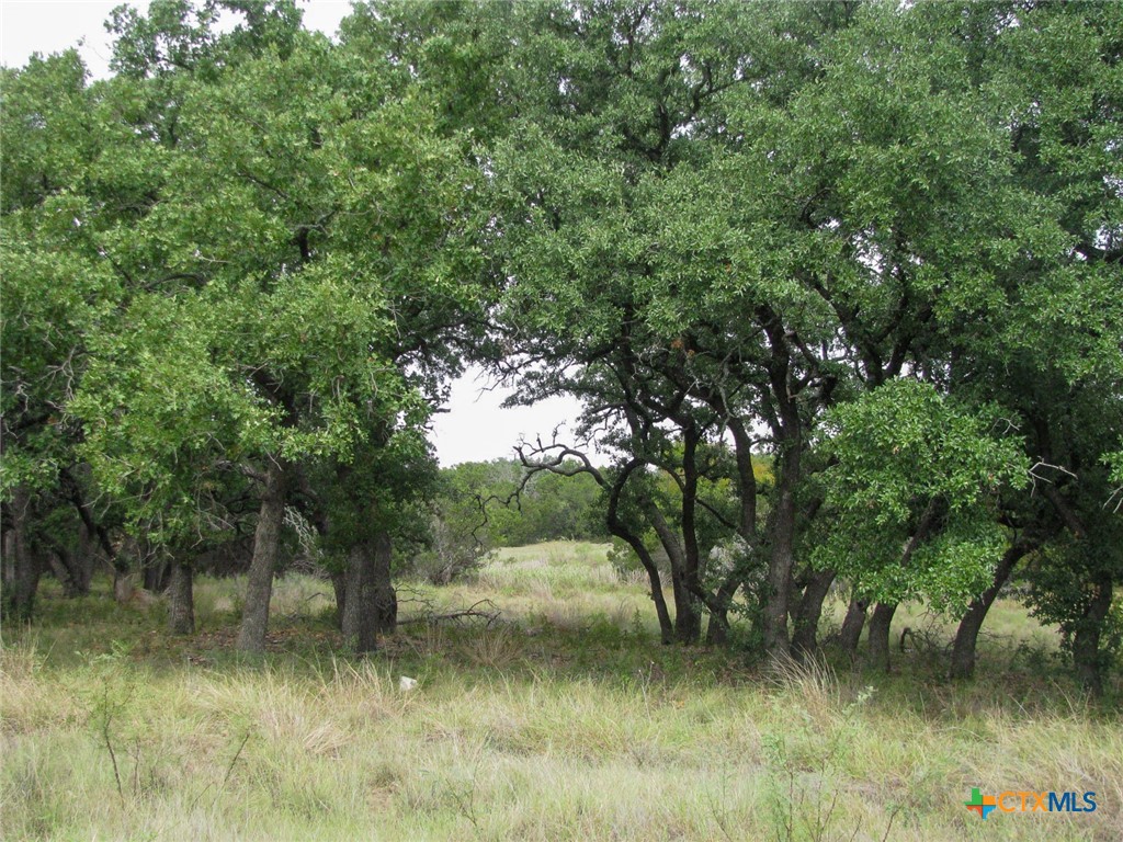 Lot 106 Ph 6 Pr 42101 Property Photo 30