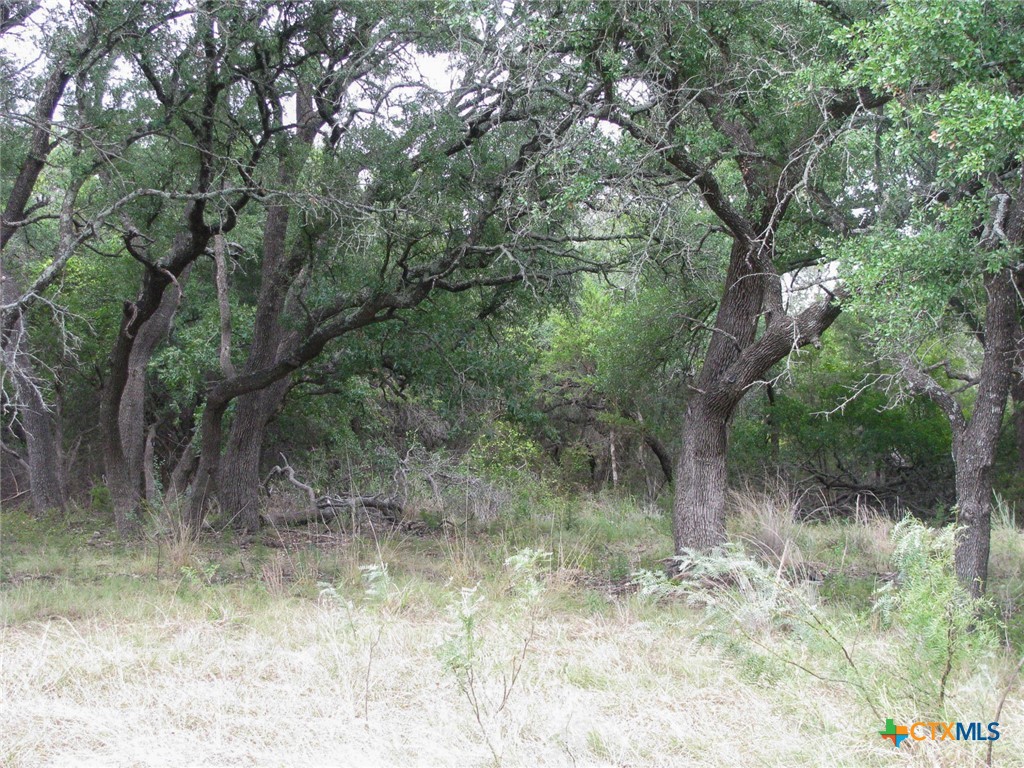Lot 106 Ph 6 Pr 42101 Property Photo 31