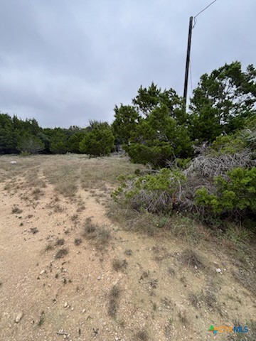 2306 Deer Run Pass Property Photo 1