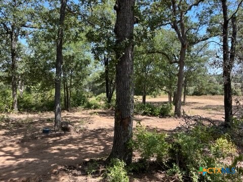 452 Wilhelm Way Property Photo 5