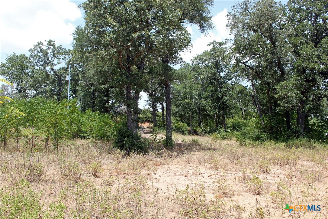 452 Wilhelm Way Property Photo 8