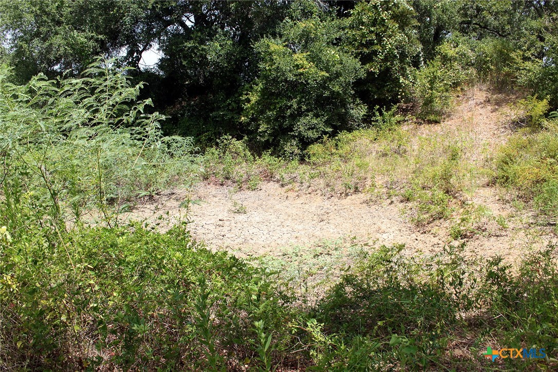 452 Wilhelm Way Property Photo 10