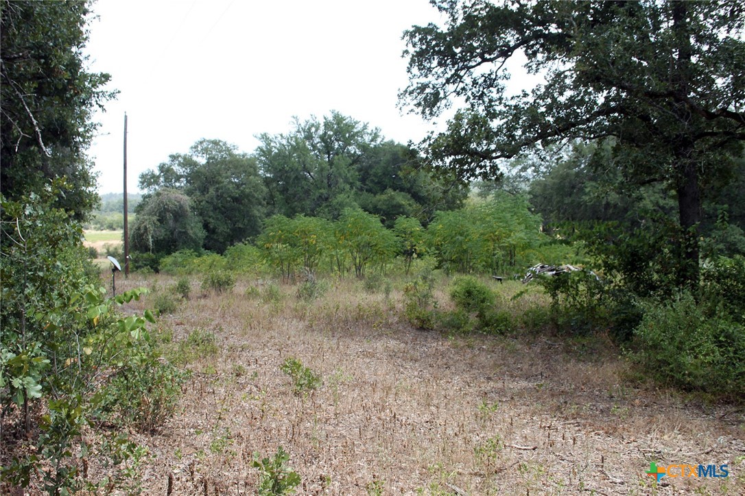 452 Wilhelm Way Property Photo 13