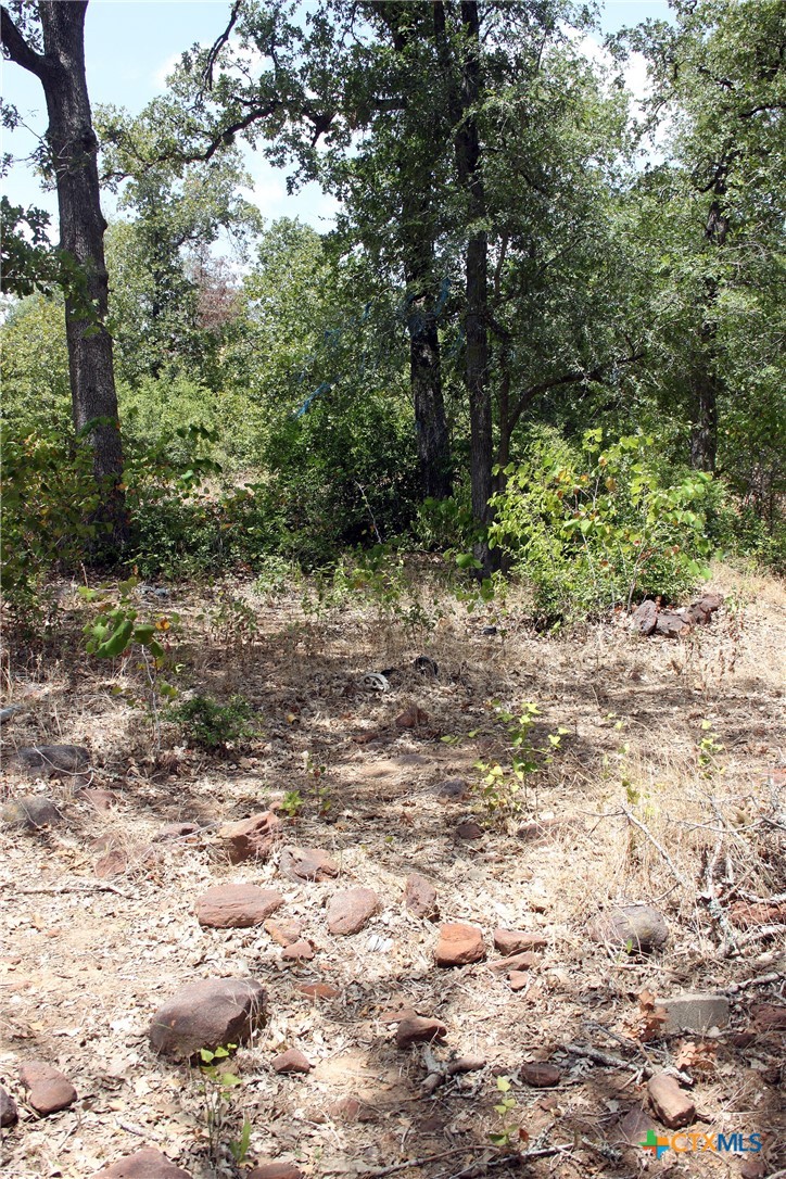 452 Wilhelm Way Property Photo 16