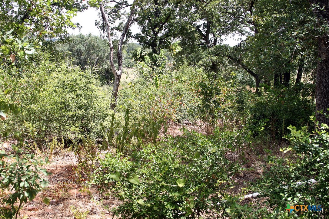 452 Wilhelm Way Property Photo 19