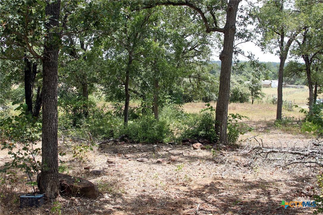 452 Wilhelm Way Property Photo 20