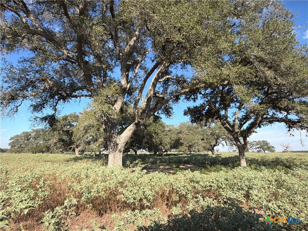 1665 Garrett Road Property Photo 1