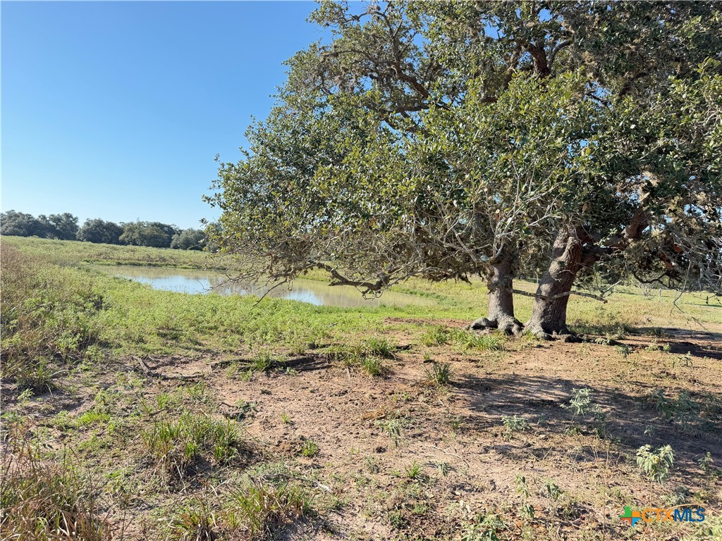 1665 Garrett Road Property Photo 3