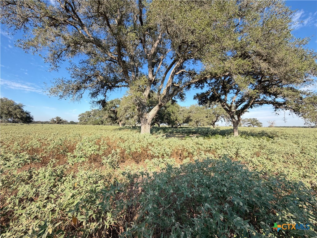 1665 Garrett Road Property Photo 4