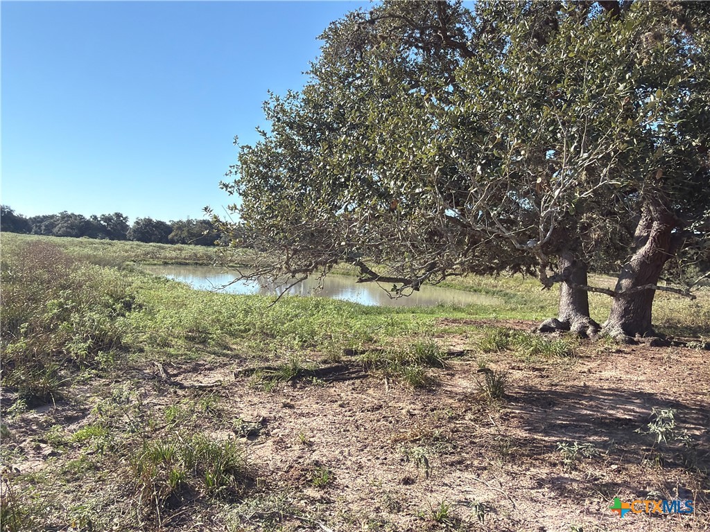 1665 Garrett Road Property Photo 18
