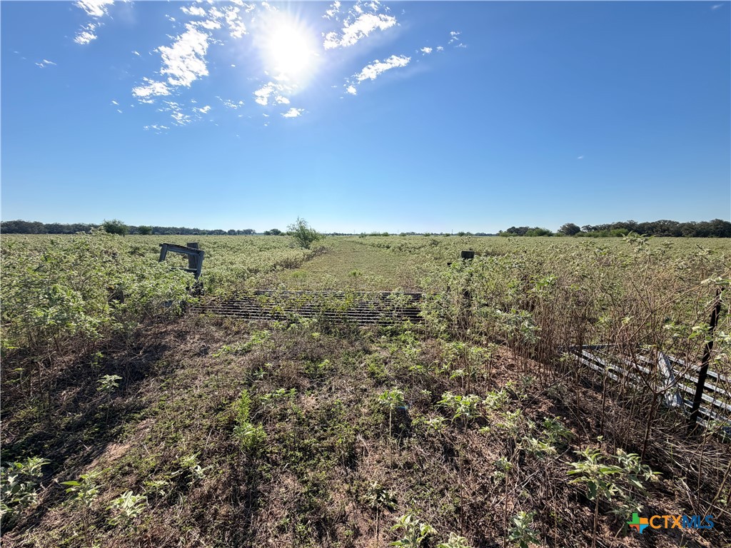 1665 Garrett Road Property Photo 23