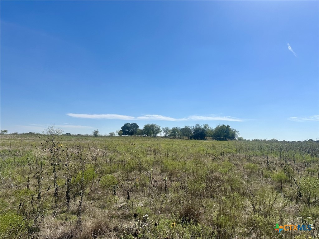 1702 Prairie View Road Property Photo 3