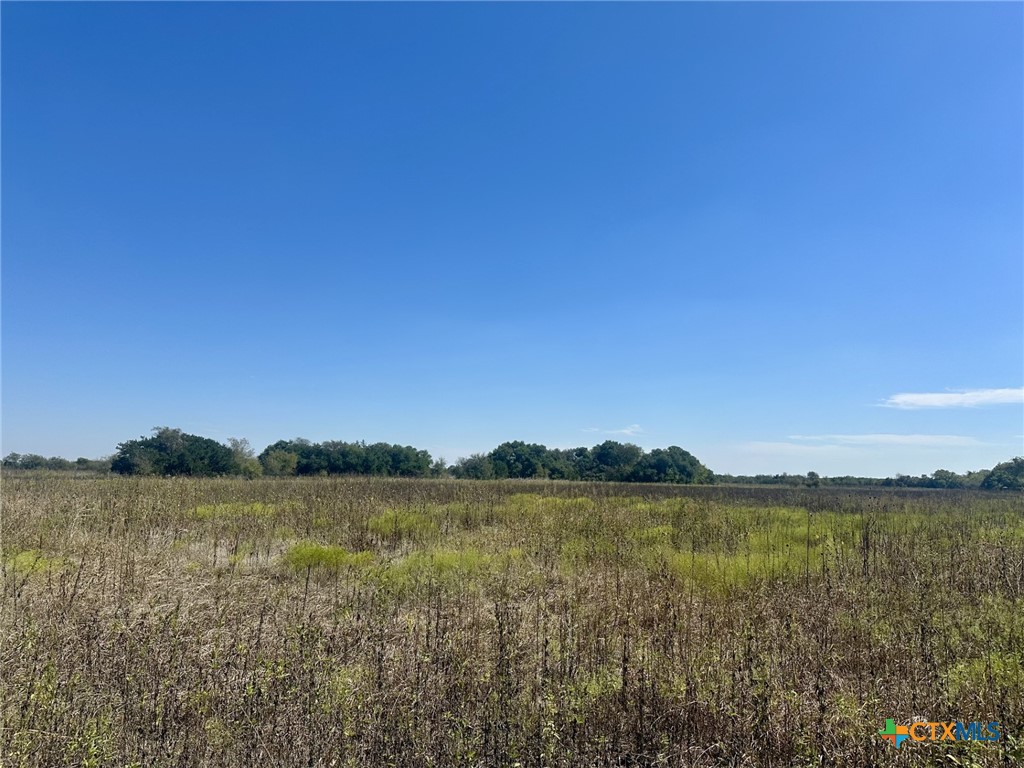 1702 Prairie View Road Property Photo 4