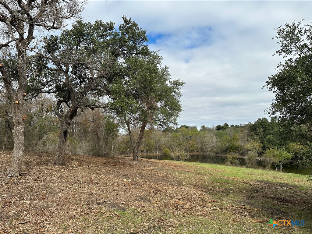 17800 E Fm 2268 Property Photo 4