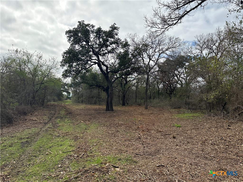 17800 E Fm 2268 Property Photo 5