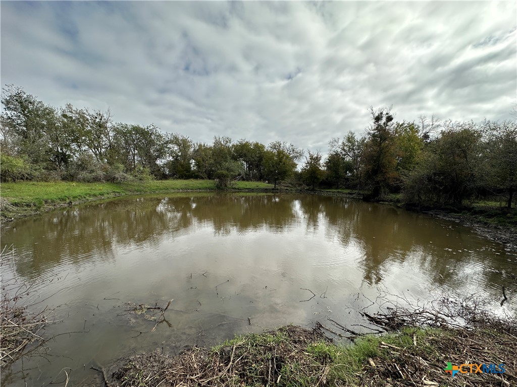 17800 E Fm 2268 Property Photo 6